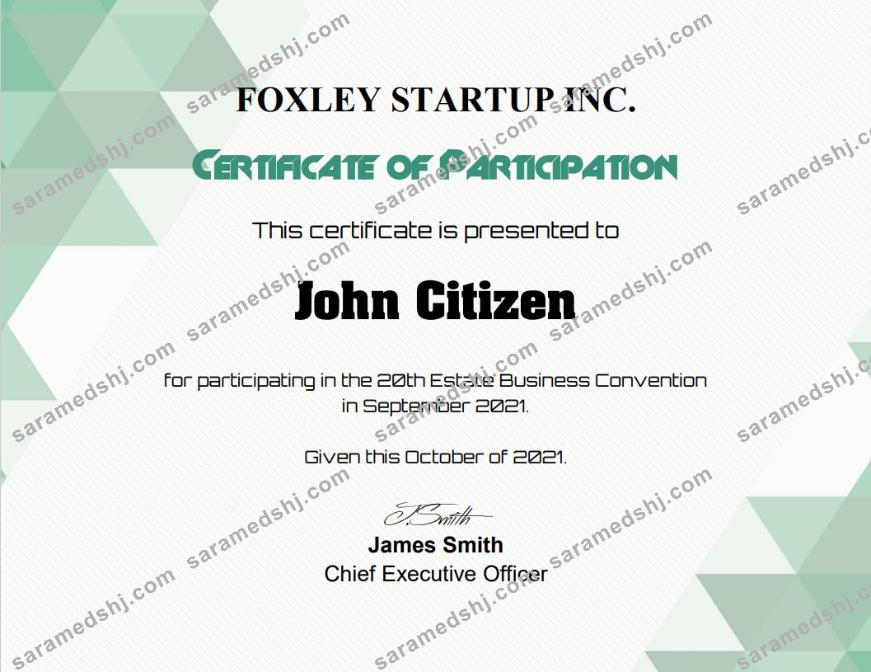 USA Participation cert